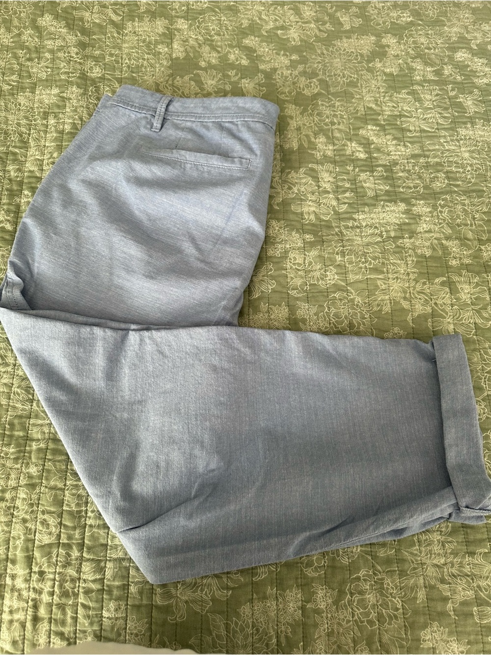 Talbots Light Blue Relaxed Cotton Chino Pants - EUC 14P